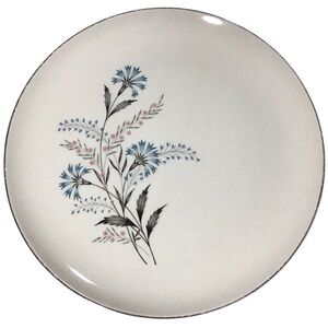 Vtg Taylor Smith Taylor Versatile Floral Dinner Plate USA Blue Flowers